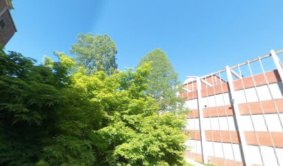 Rhyne Building