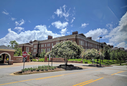 Samuel Ginn College of Engineering